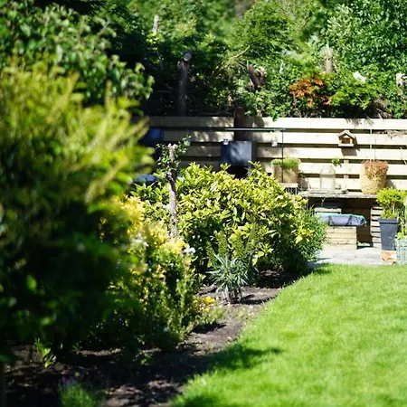 Prázdninový dům Texel Boogaloo