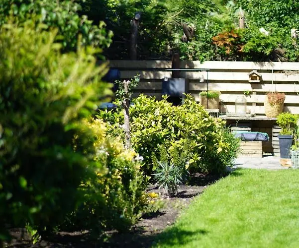 Vakantiehuis Texel Boogaloo